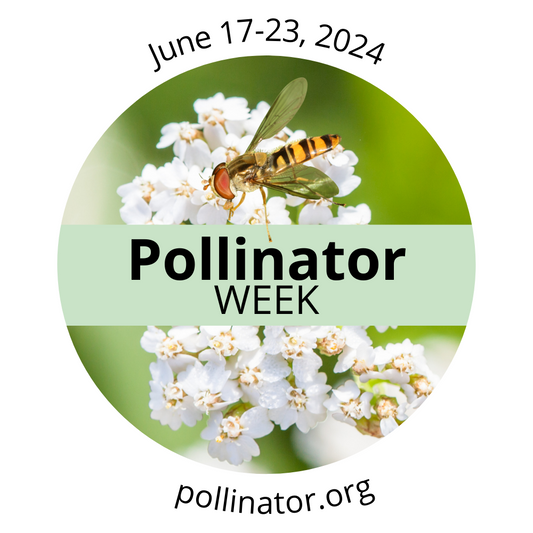 Welcome to Pollinator Month at Mariposa Meadow!